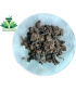 Mochras - Phool Supari Kali - Salmalia malabaricum - Bombax Ceiba- Red Silk Cotton Tree Gum
